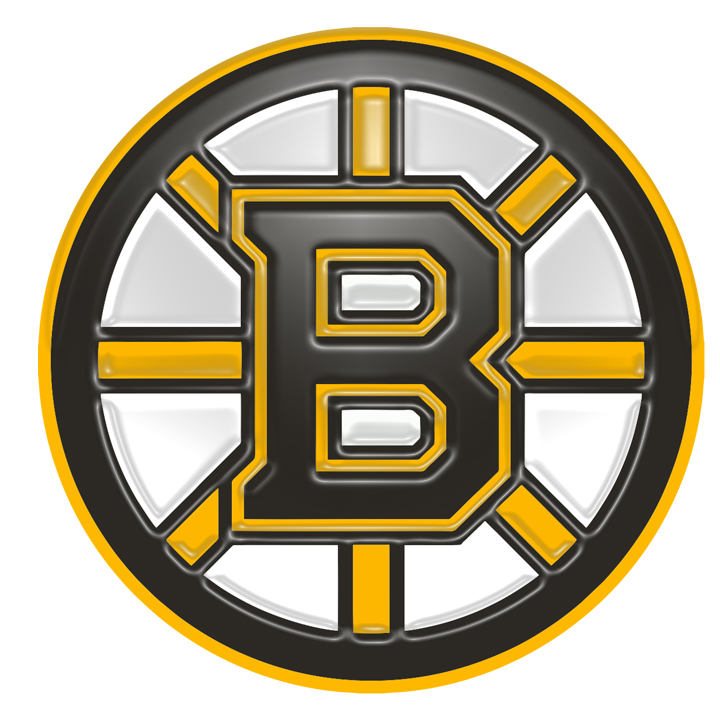 Boston Bruins Plastic Effect Logo vinyl decal